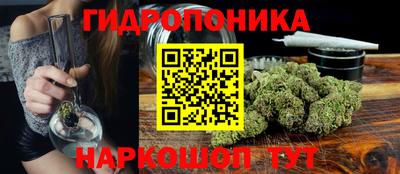 гашик Бузулук