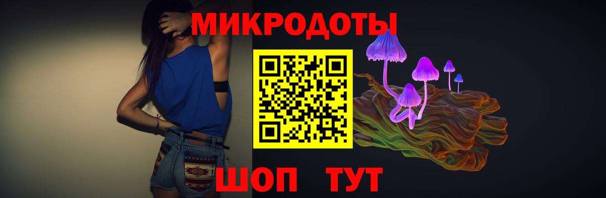 Псилоцибиновые грибы MAGIC MUSHROOMS  Вход с VPN  Куйбышев  где купить наркоту  Галлюциногенные грибы Magic Shrooms 