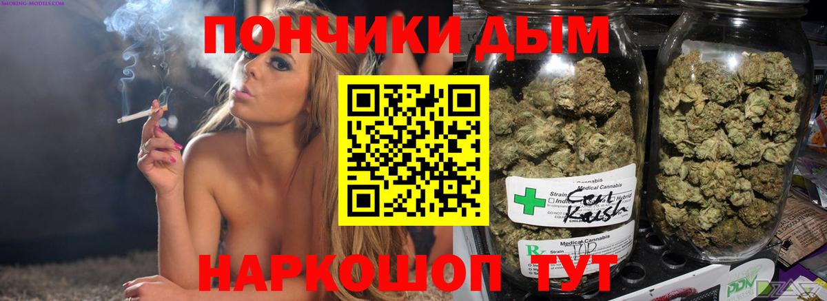 Куйбышев  Бошки Шишки конопля  Каннабис конопля  МАРИХУАНА SATIVA & INDICA  Вход с VPN 